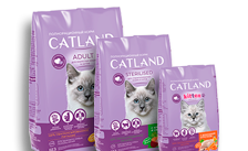Catland